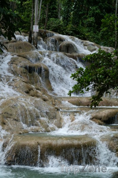 Fotka, Foto Dunn's River Falls (Jamajka)