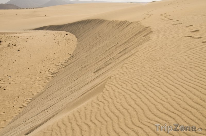Fotka, Foto Fuerteventura, písečné duny (Španělsko)