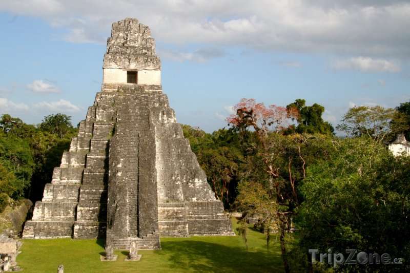Fotka, Foto Jaguárova pyramida v mayském městě Tikal (Guatemala)