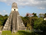 Jaguárova pyramida v mayském městě Tikal