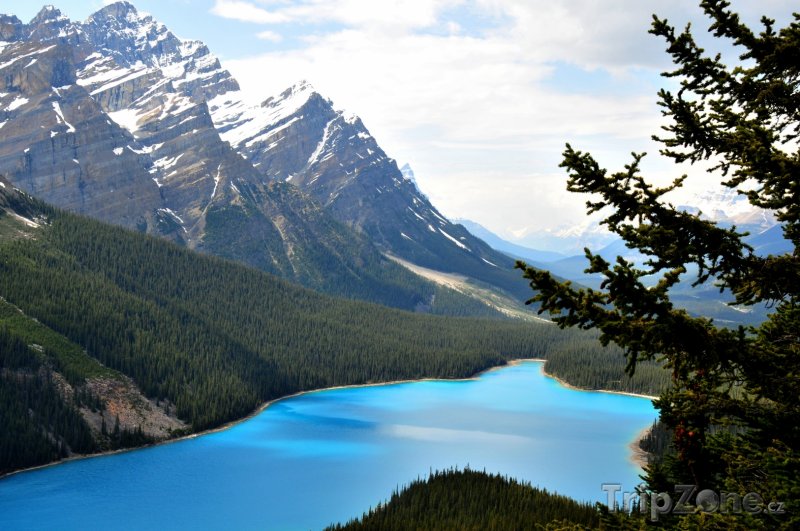 Fotka, Foto Jezero Peyto v národním parku Banff (Kanada)