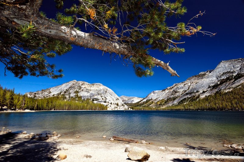 Fotka, Foto Jezero Tenaya v Yosemitském národním parku (USA)