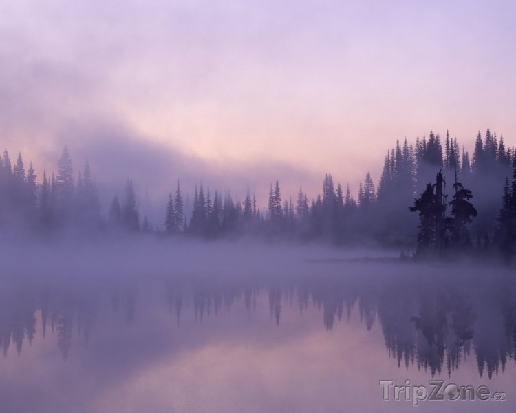 Fotka, Foto Jezero v národním parku Mount Rainier (USA)