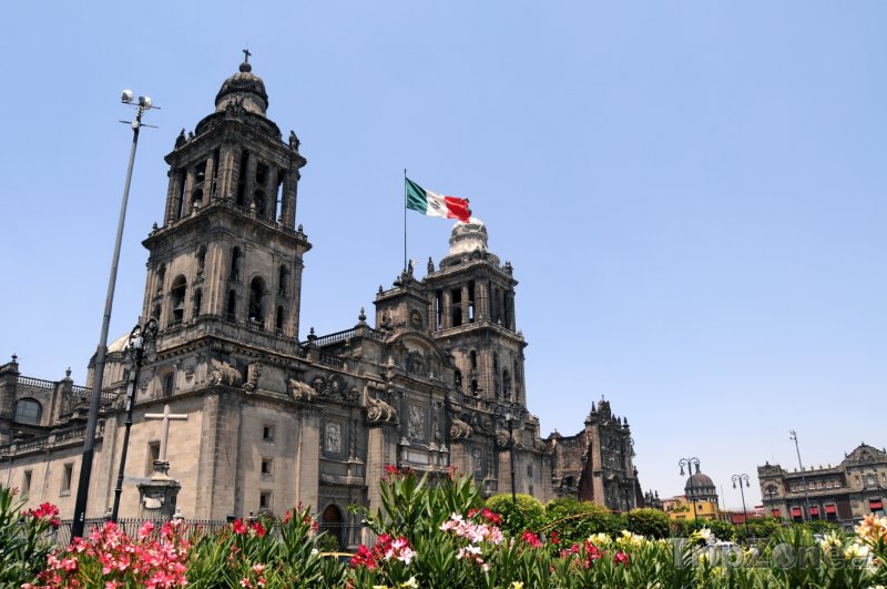 Fotka, Foto Katedrála v Mexiko City (Mexiko)