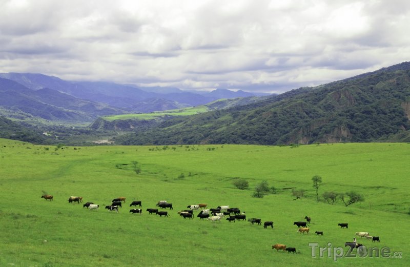 Fotka, Foto Krajina v provincii Salta (Argentina)