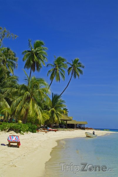 Fotka, Foto Lehátka na pláži (Fidži)