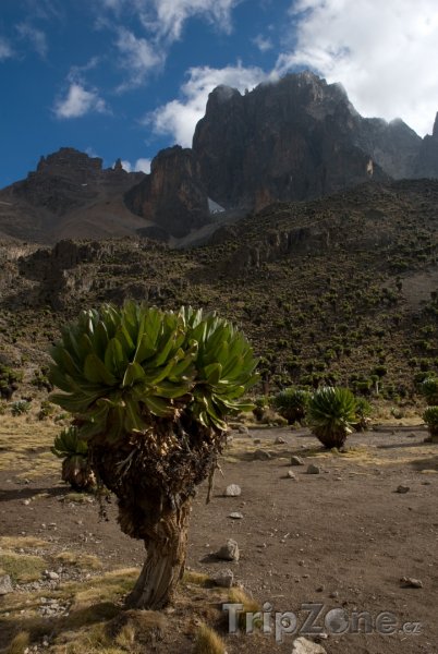 Fotka, Foto Masiv Mount Kenya (Keňa)