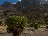Masiv Mount Kenya