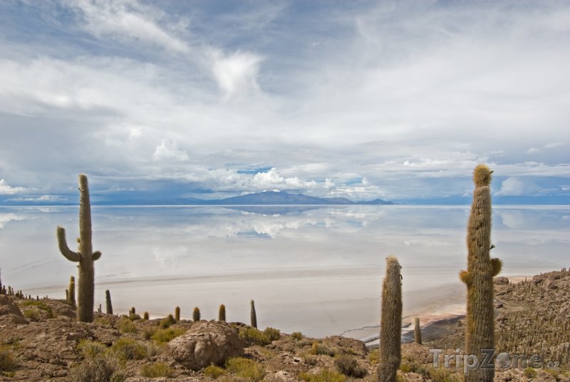Fotka, Foto Ostrov Isla del Pescado a jezero Salar (Bolívie)