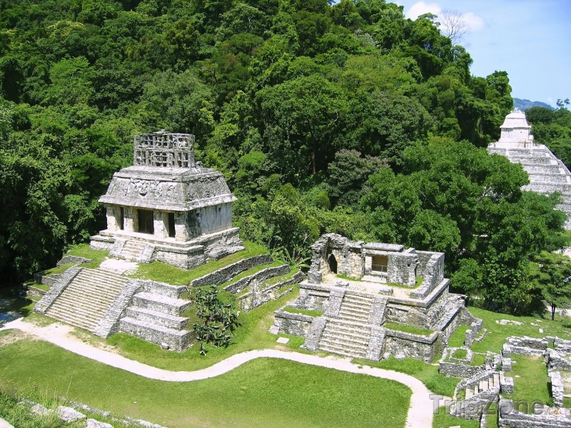 Fotka, Foto Palenque, mayské chrámy (Mexiko)