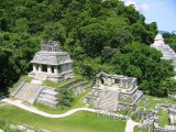 Palenque, mayské chrámy