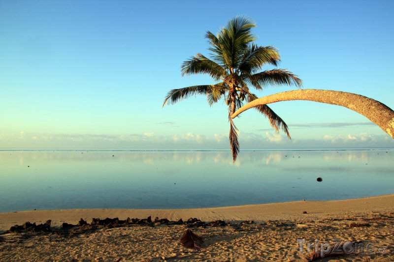 Fotka, Foto Palma na pláži (Fidži)