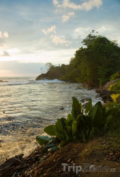 Fotka, Foto Pobřeží v západu slunce (Kostarika)