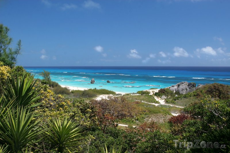 Fotka, Foto Pohled na Atlantik (Bermudy)
