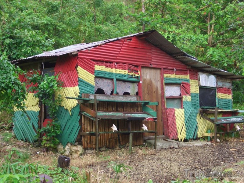 Fotka, Foto Rastamanův domek v Porto Antoniu (Jamajka)