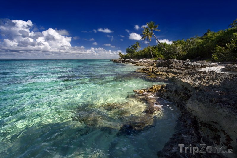 Fotka, Foto Skalnaté pobřeží (Dominika)
