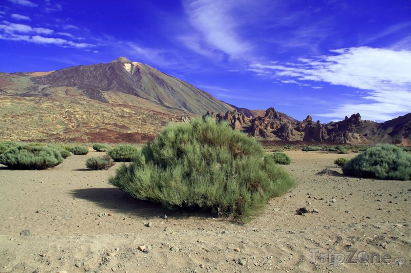 Fotka, Foto Sopka Pico de Teide na ostrově Tenerife (Španělsko)