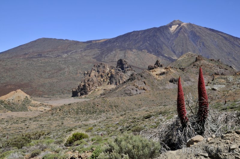 Fotka, Foto Tenerife, sopka El Teide (Španělsko)