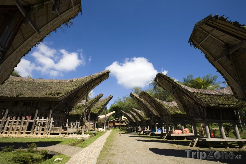 Fotka, Foto Torajská vesnice na Sulawesi (Indonésie)