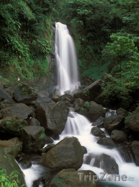 Fotka, Foto Trafalgar falls v Národní parku Morne Trois Pitons (Dominika)