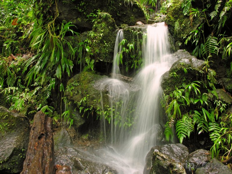 Fotka, Foto Vodopád v pralese (Dominika)