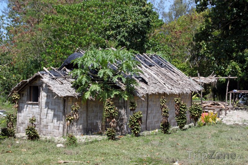 Fotka, Foto Chýše na ostrově Efate (Vanuatu)