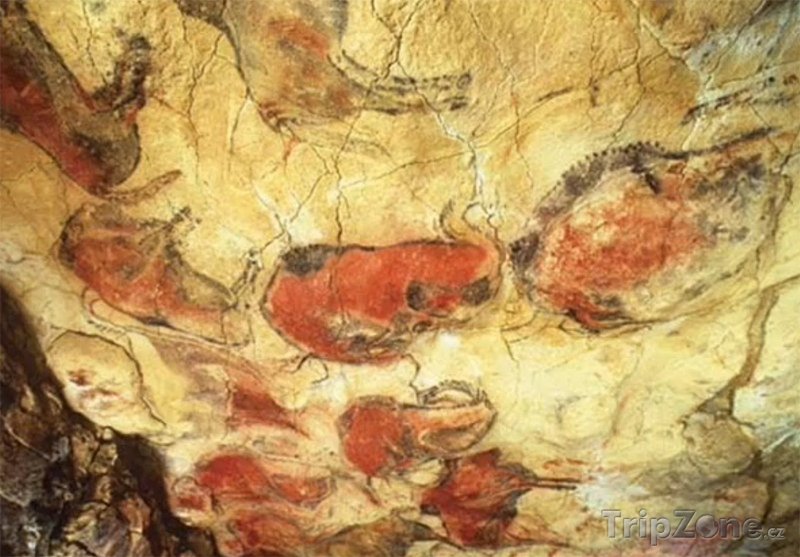 Fotka, Foto Jeskyně Altamira, malby na stěnách (Španělsko)