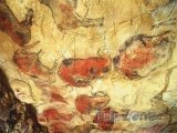 Jeskyně Altamira, malby na stěnách
