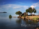Jezero Malawi