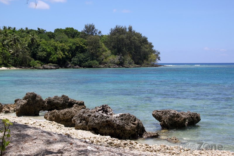 Fotka, Foto Korály na plážii ostrova Efate (Vanuatu)
