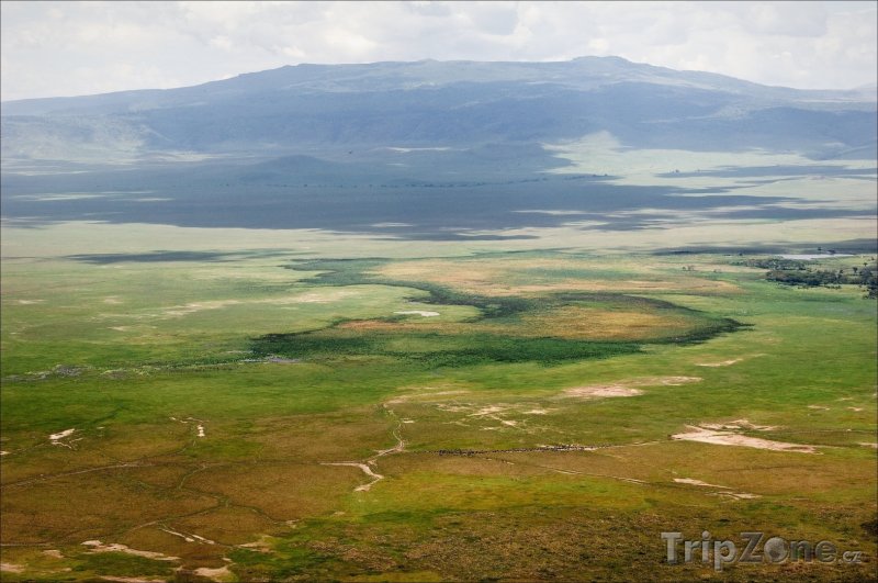 Fotka, Foto Kráter Ngorongoro (Tanzanie)