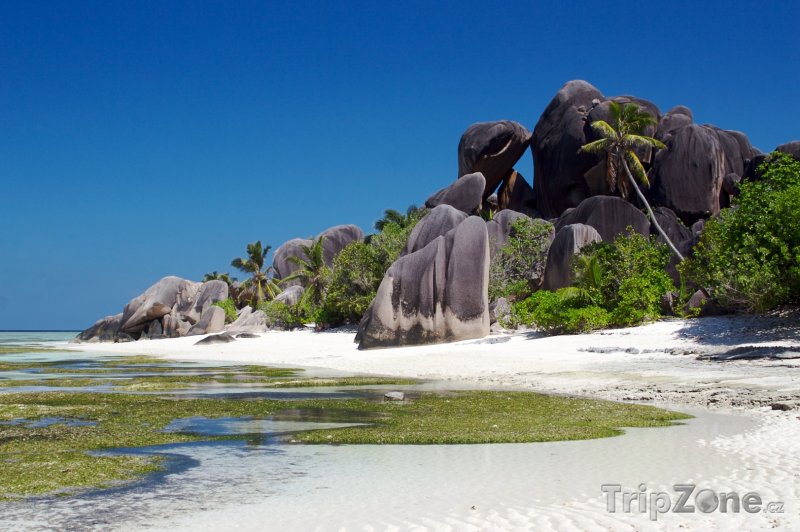 Fotka, Foto La Digue, skály na pláži Anse Source d'Argent (Seychely)