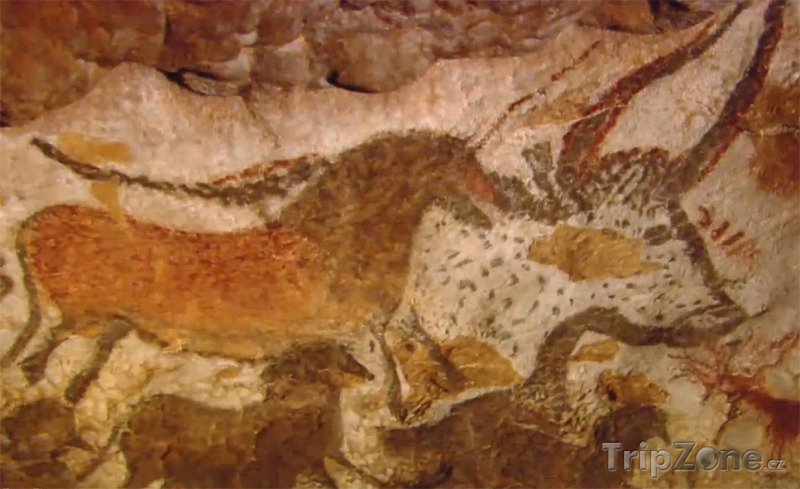 Fotka, Foto Malby v jeskyni Lascaux (Francie)