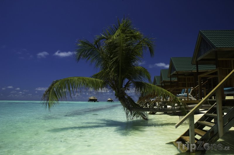 Fotka, Foto Meeru Island Resort (Maledivy)