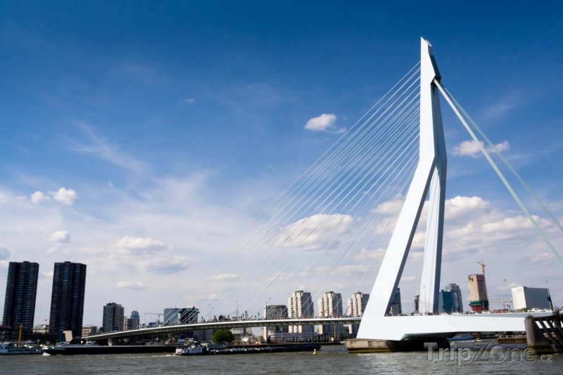 Fotka, Foto Most Erasmusburg v Rotterdamu (Nizozemsko)