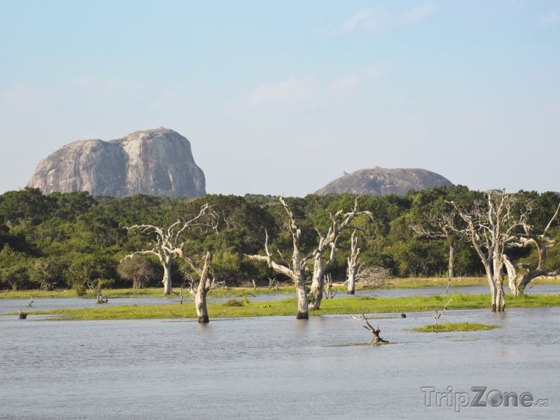 Fotka, Foto Národní park Yala, pohled na Sloní skálu (Srí Lanka)
