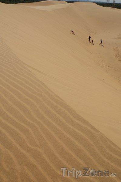 Fotka, Foto Písečné duny v národním parku Médanos de Coro (Venezuela)