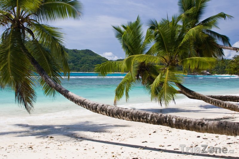 Fotka, Foto Pláž na ostrově Mahé (Seychely)
