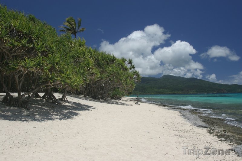 Fotka, Foto Pláž na ostrově Mota (Vanuatu)
