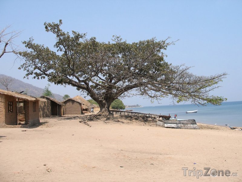 Fotka, Foto Pobřeží jezera Malawi (Malawi)