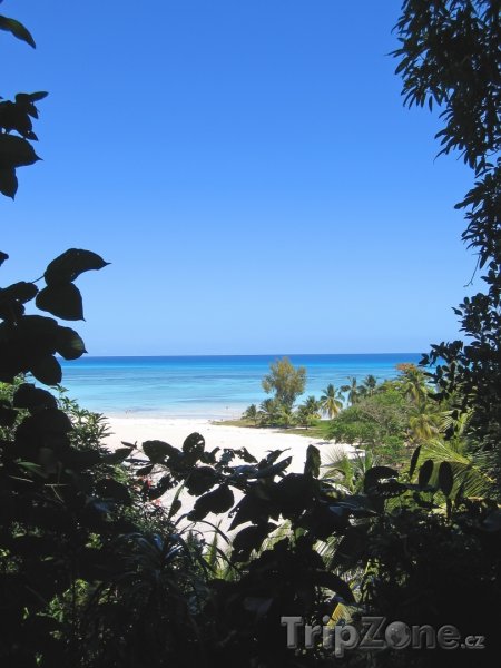 Fotka, Foto Pohled na pláž ostrova Nosy Be (Madagaskar)