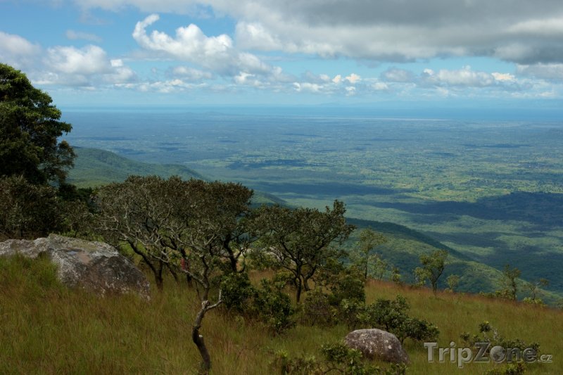 Fotka, Foto Pohled na přírodní rezervaci Chinguni (Malawi)