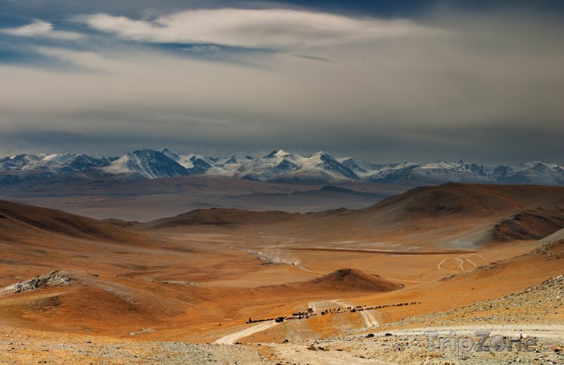 Fotka, Foto Pohoří Changaj (Mongolsko)