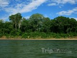 Řeka Amazonka
