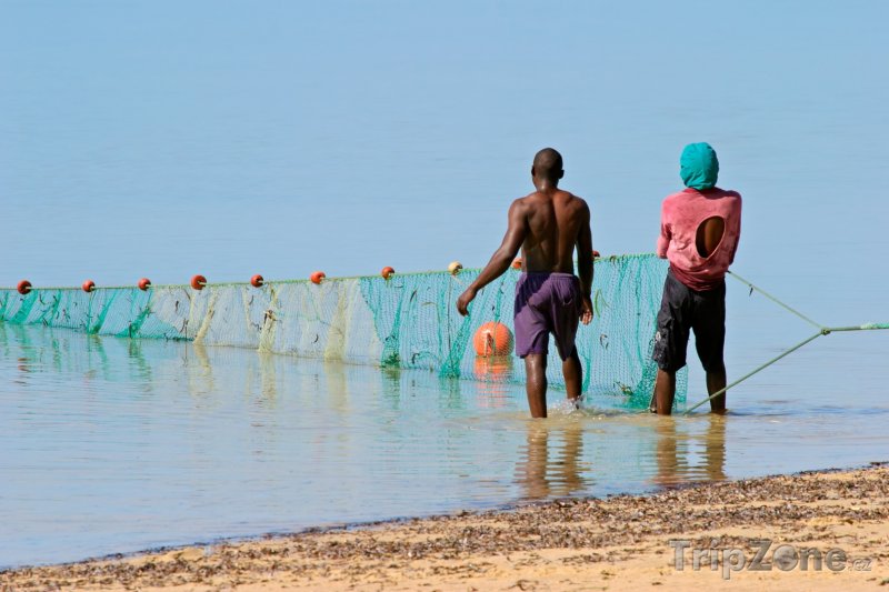 Fotka, Foto Rybáři vytahují síť z moře (Mosambik)