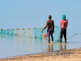 Rybáři vytahují síť z moře
