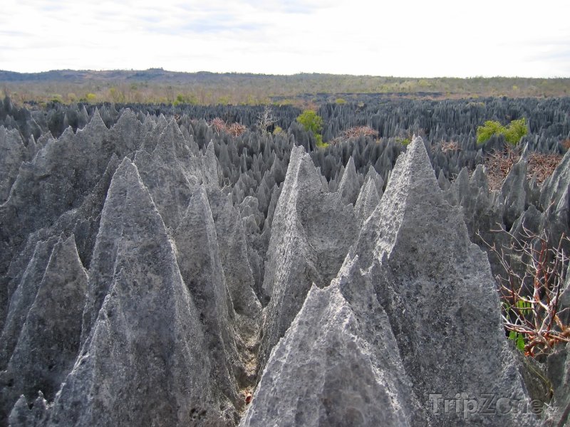Fotka, Foto Skály v národním parku Tsingy de Bemaraha (Madagaskar)
