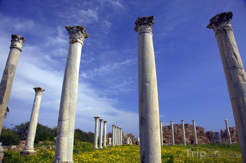 Fotka, Foto Sloupy římské tělocvičny ve městě Salamis (Kypr)