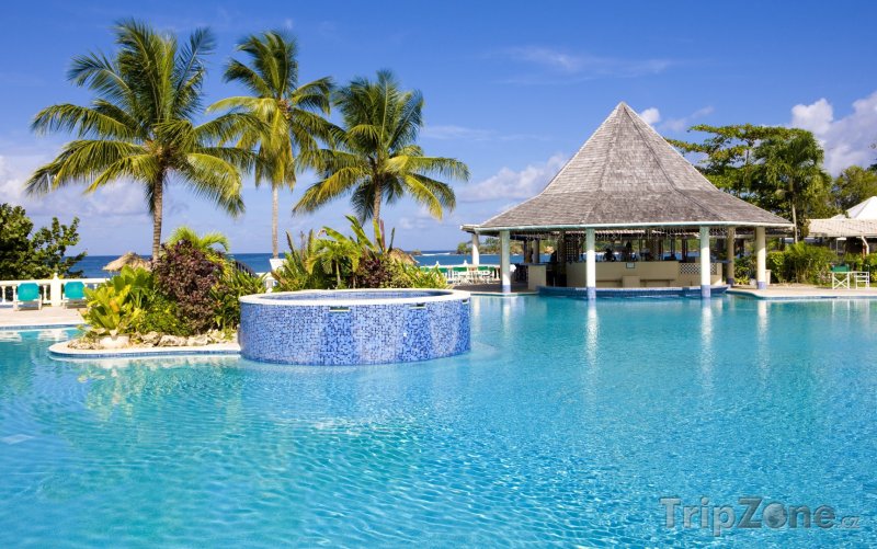 Fotka, Foto Tobago, bazén u hotelového resortu (Trinidad a Tobago)