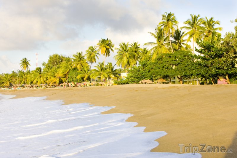 Fotka, Foto Tobago, Turtle Beach (Trinidad a Tobago)
